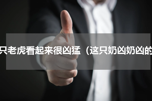 这只老虎看起来很凶猛（这只奶凶奶凶的）