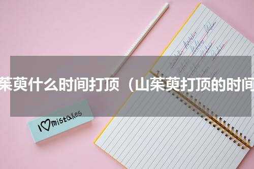 山茱萸什么时间打顶（山茱萸打顶的时间）