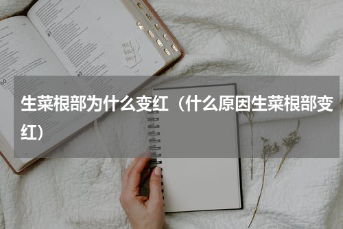 生菜根部为什么变红（什么原因生菜根部变红）