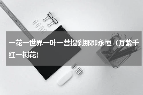 一花一世界一叶一菩提刹那即永恒（万紫千红一树花）