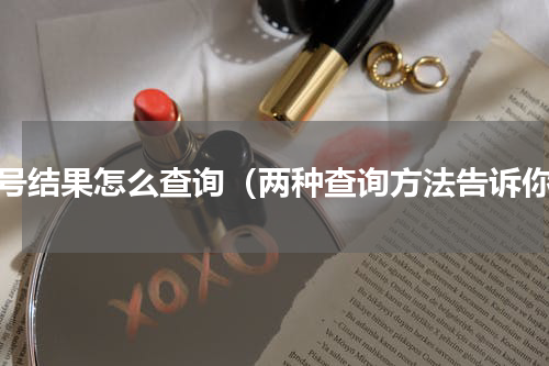 摇号结果怎么查询（两种查询方法告诉你）