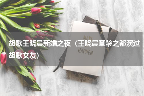 胡歌王晓晨新婚之夜（王晓晨章龄之都演过胡歌女友）