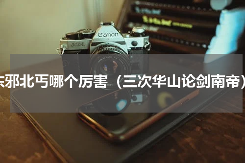 东邪北丐哪个厉害（三次华山论剑南帝）