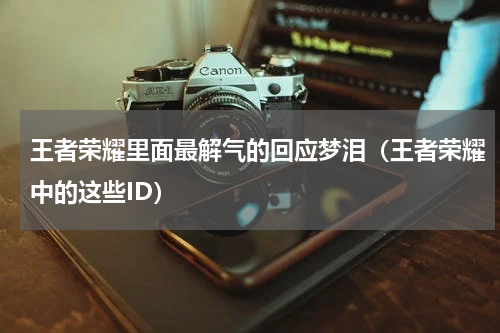王者荣耀里面最解气的回应梦泪（王者荣耀中的这些ID）