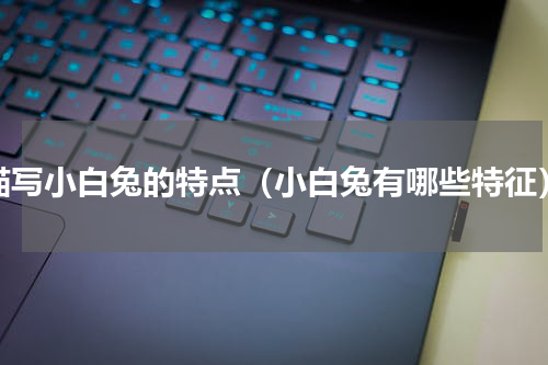 描写小白兔的特点（小白兔有哪些特征）