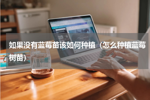 如果没有蓝莓苗该如何种植（怎么种植蓝莓树苗）