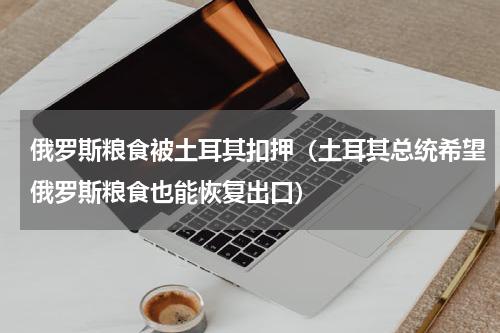 俄罗斯粮食被土耳其扣押（土耳其总统希望俄罗斯粮食也能恢复出口）
