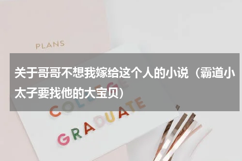 关于哥哥不想我嫁给这个人的小说（霸道小太子要找他的大宝贝）