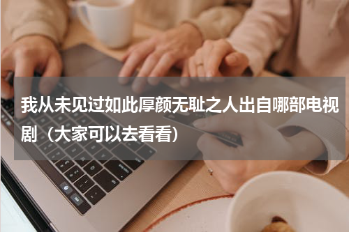 我从未见过如此厚颜无耻之人出自哪部电视剧（大家可以去看看）