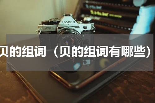 贝的组词（贝的组词有哪些）