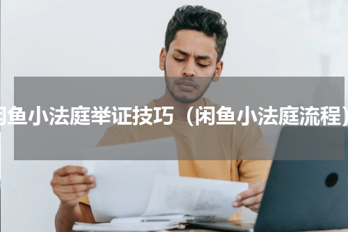 闲鱼小法庭举证技巧（闲鱼小法庭流程）