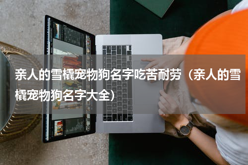 亲人的雪橇宠物狗名字吃苦耐劳（亲人的雪橇宠物狗名字大全）