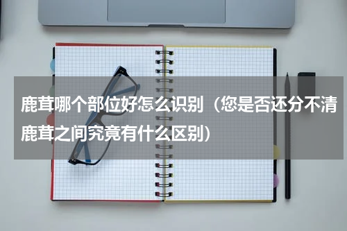 鹿茸哪个部位好怎么识别（您是否还分不清鹿茸之间究竟有什么区别）