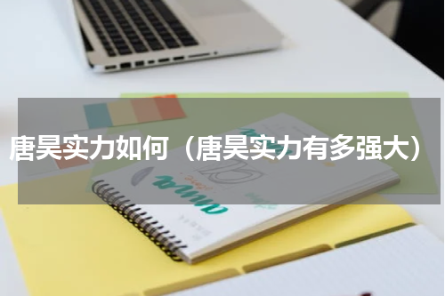唐昊实力如何（唐昊实力有多强大）
