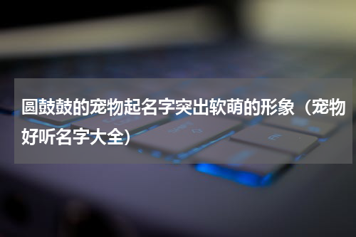 圆鼓鼓的宠物起名字突出软萌的形象（宠物好听名字大全）