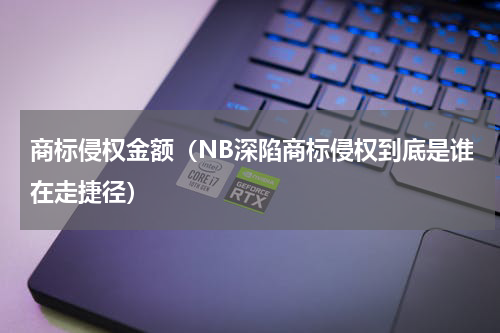 商标侵权金额（NB深陷商标侵权到底是谁在走捷径）
