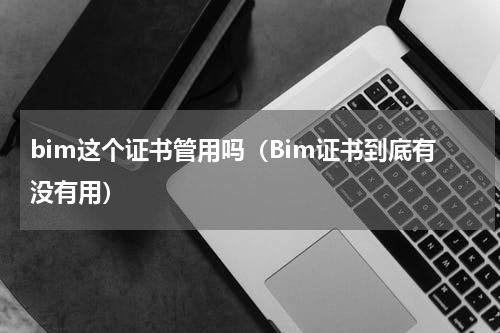 bim这个证书管用吗（Bim证书到底有没有用）