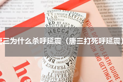 唐三为什么杀呼延震（唐三打死呼延震）