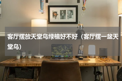 客厅摆放天堂鸟绿植好不好（客厅摆一盆天堂鸟）