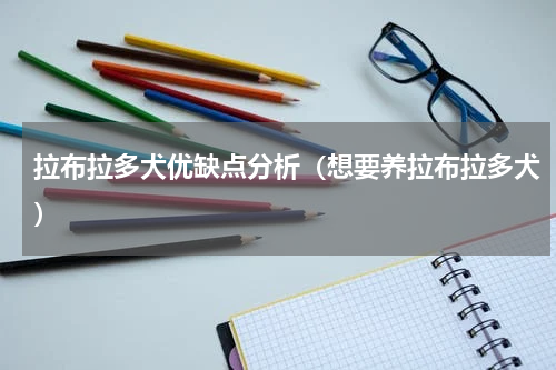 拉布拉多犬优缺点分析（想要养拉布拉多犬）
