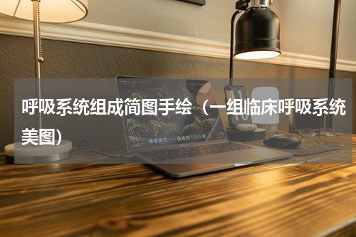 呼吸系统组成简图手绘（一组临床呼吸系统美图）