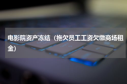 电影院资产冻结（拖欠员工工资欠缴商场租金）