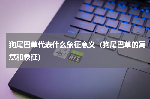 狗尾巴草代表什么象征意义（狗尾巴草的寓意和象征）