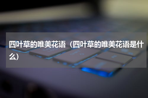 四叶草的唯美花语（四叶草的唯美花语是什么）