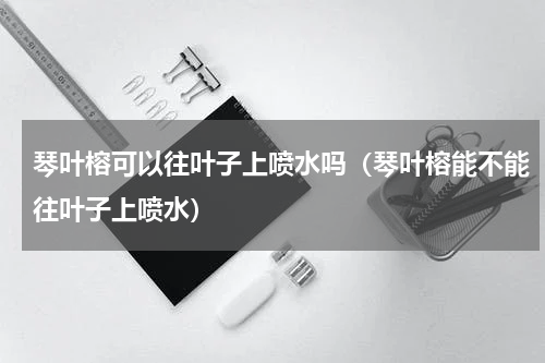 琴叶榕可以往叶子上喷水吗（琴叶榕能不能往叶子上喷水）