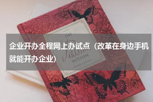 企业开办全程网上办试点（改革在身边手机就能开办企业）