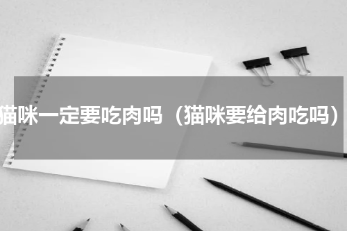 猫咪一定要吃肉吗（猫咪要给肉吃吗）