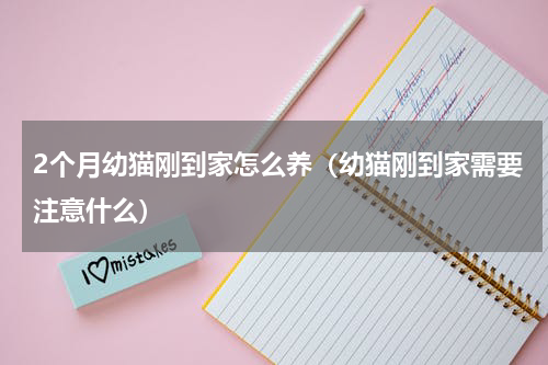 2个月幼猫刚到家怎么养（幼猫刚到家需要注意什么）