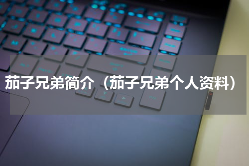 茄子兄弟简介（茄子兄弟个人资料）