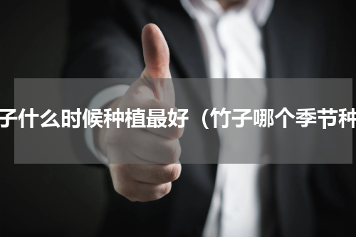 竹子什么时候种植最好（竹子哪个季节种）