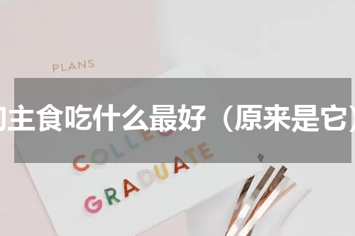 狗主食吃什么最好（原来是它）