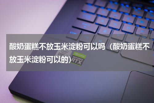 酸奶蛋糕不放玉米淀粉可以吗（酸奶蛋糕不放玉米淀粉可以的）