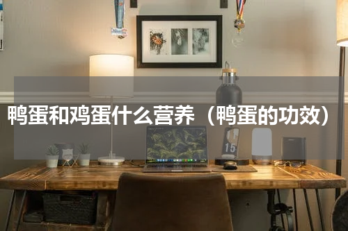 鸭蛋和鸡蛋什么营养（鸭蛋的功效）