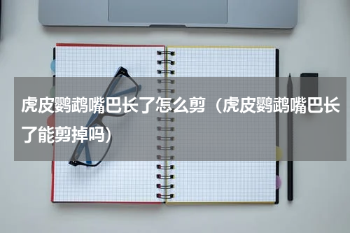 虎皮鹦鹉嘴巴长了怎么剪（虎皮鹦鹉嘴巴长了能剪掉吗）