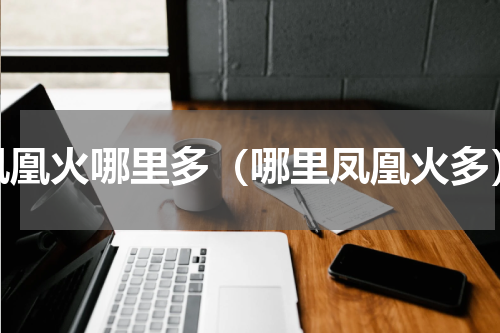 凤凰火哪里多（哪里凤凰火多）
