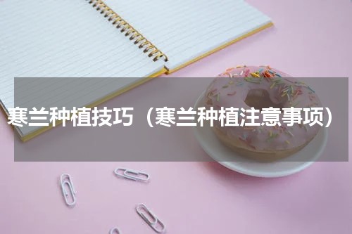 寒兰种植技巧（寒兰种植注意事项）