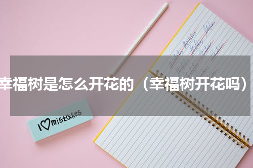 幸福树是怎么开花的（幸福树开花吗）