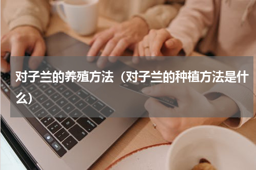 对子兰的养殖方法（对子兰的种植方法是什么）