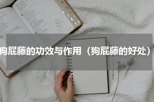 狗屁藤的功效与作用（狗屁藤的好处）