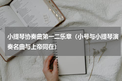 小提琴协奏曲第一二乐章（小号与小提琴演奏名曲与上帝同在）