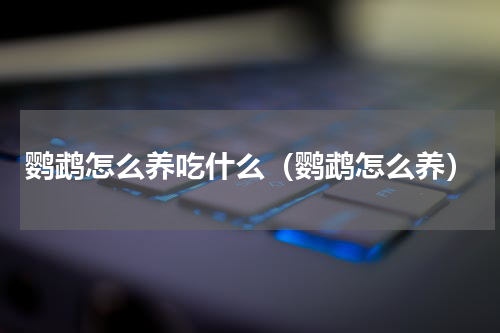 鹦鹉怎么养吃什么（鹦鹉怎么养）