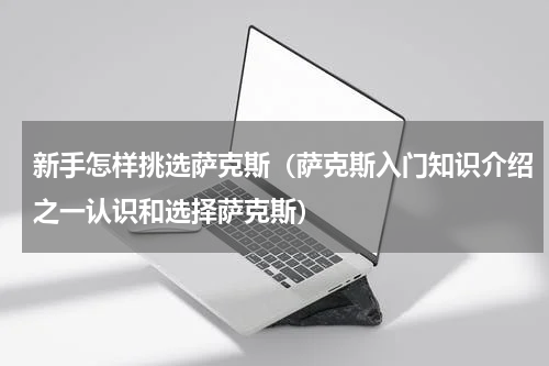 新手怎样挑选萨克斯（萨克斯入门知识介绍之一认识和选择萨克斯）