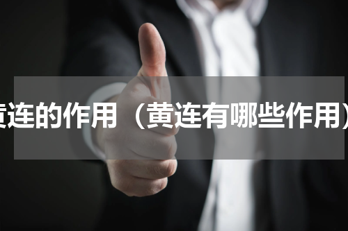黄连的作用（黄连有哪些作用）