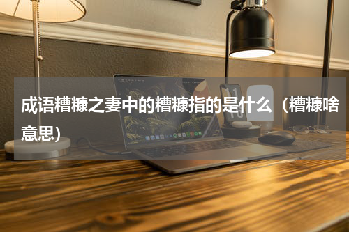 成语糟糠之妻中的糟糠指的是什么（糟糠啥意思）