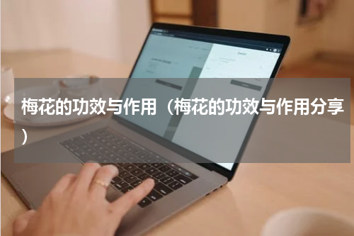 梅花的功效与作用（梅花的功效与作用分享）