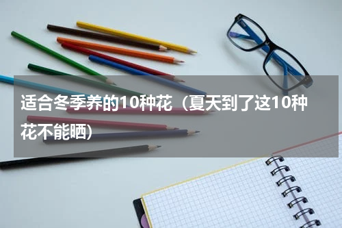适合冬季养的10种花（夏天到了这10种花不能晒）